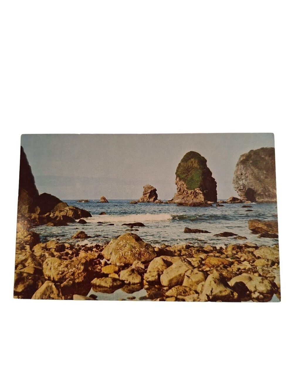 Oregon Coast Seascape Chrome Postcard Unposted